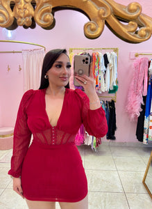 "Iris" Corset Mesh Mini Dress