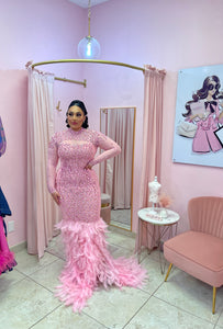 "Princess" Mesh Rhinestone & Feather Gown
