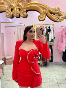 “Holly” Mini Dress